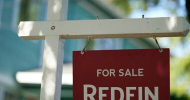 Trump demands homebuilders ramp up construction