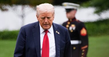 Trump revenge against lawyers must end: Ex-DC Bar presidents