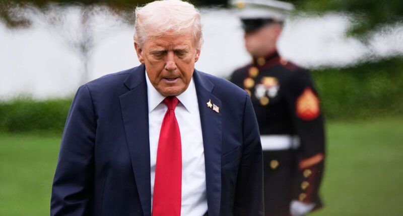 Trump says US is in 'armed conflict' with drug cartels after ordering strikes in the Caribbean