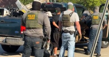 Border Patrol arrest