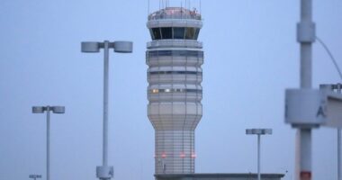 US airlines warn shutdown may slow flights