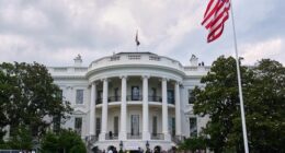 A newly installed flag pole stands on the South Lawn of the White House, Wednesday, June 18, 2025, in Washington. (AP Photo/Evan Vucci)