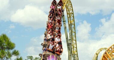 Universal to reopen Stardust Racers ride two weeks after man's death