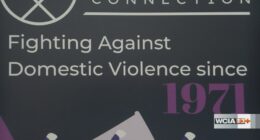 Urbana PD, Courage Connection working hand-in-hand to end domestic violence