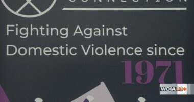Urbana PD, Courage Connection working hand-in-hand to end domestic violence