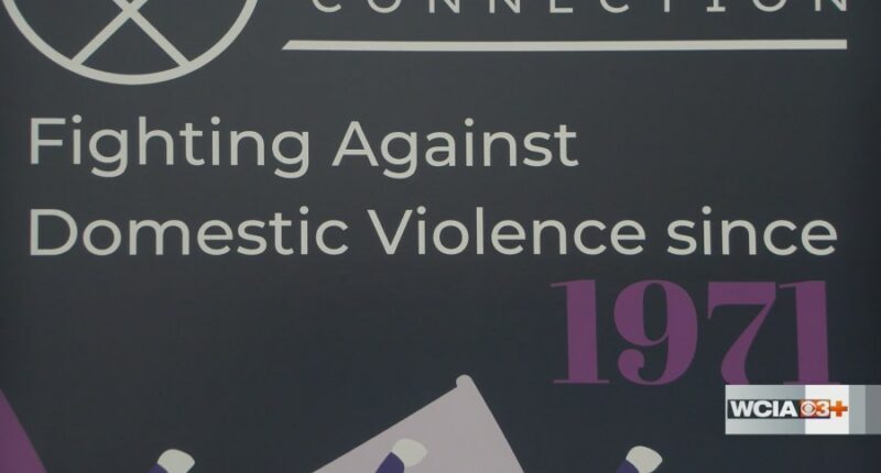 Urbana PD, Courage Connection working hand-in-hand to end domestic violence