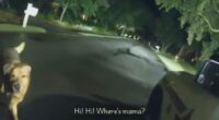 VIDEO: Dog guides deputy to elderly woman who fell on sidewalk