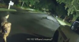 VIDEO: Dog guides deputy to elderly woman who fell on sidewalk