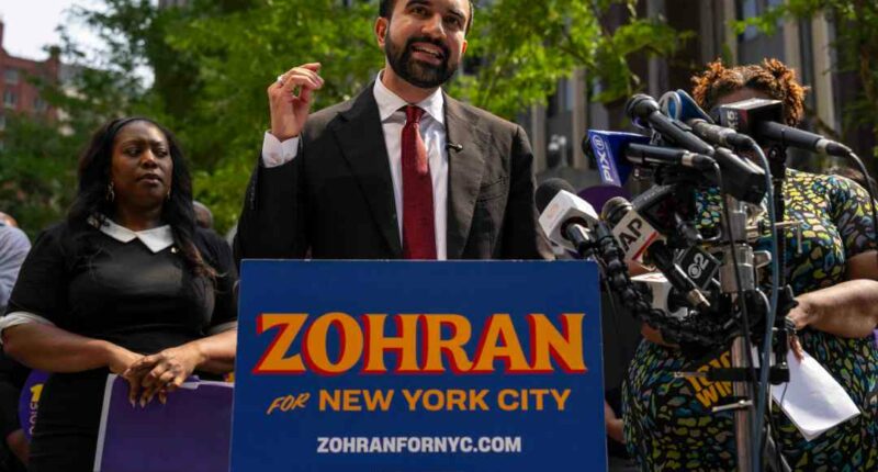 FILE - New York City Democratic mayoral candidate Zohran Mamdani speaks during a press conference outside the Jacob K. Javits federal building Thursday, Aug. 7, 2025, in New York. (AP Photo/Yuki Iwamura, file)