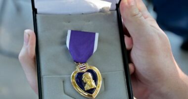 Veteran who lied about Purple Heart status sentenced for stolen valor, wire fraud