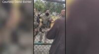 Video: ICE agents clash with workers attempting to help man in river