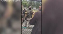 Video: ICE agents clash with workers attempting to help man in river