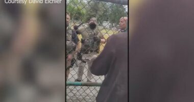 Video: ICE agents clash with workers attempting to help man in river