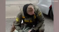 WGN-TV employee detained by Border Patrol agents at Lincoln, Foster avenues in Lincoln Square released without charges: Station
