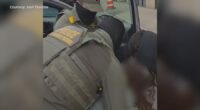 WGN employee detained amid ICE activity on Chicago's North Side, later released