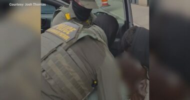 WGN employee detained amid ICE activity on Chicago's North Side, later released