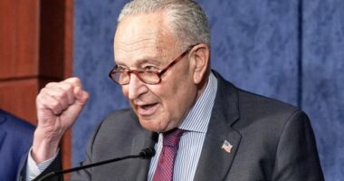 Watch: Schumer's Bizarre Rant About His Shutdown and Speaker Johnson's Constituents on Senate Floor