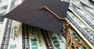 What happens to borrowers if government sells student loan debt?