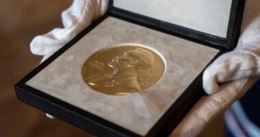 FILE - A Nobel medal is seen at the Swedish ambassador's residence in London, Dec. 8, 2020. (Niklas Halle'n/Pool via AP, File)