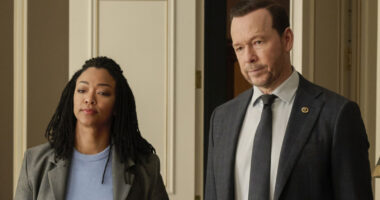 Where Is The Blue Bloods Spin-Off Actually Filmed?