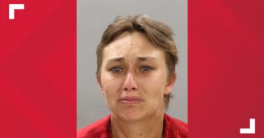 Woman arrested for allegedly punching child in Knoxville
