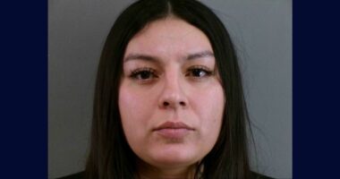 Woman attacked and taunted cop, now she is sentenced