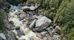 Woman dies in rafting incident in Tasmania's south-west