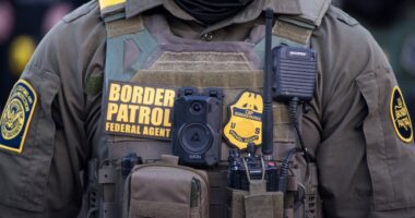 Woman shot by border agents in Chicago out of hospital, in FBI custody