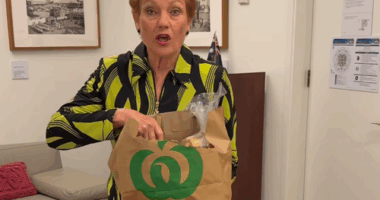 Pauline Hanson One Nation senator Queensland Woolworths shopping bag