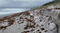 ‘Beat up by the wind and waves:’ Brevard beaches suffer erosion after week of hurricane swells