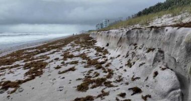 ‘Beat up by the wind and waves:’ Brevard beaches suffer erosion after week of hurricane swells