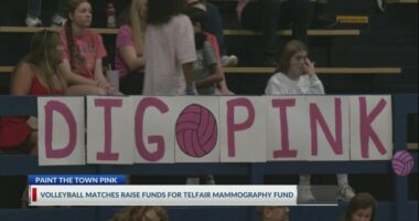 ‘Dig Pink’: The Habersham School’s Annual Pink Night