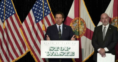 ‘He would like to have one last political victory:’ UCF professor on DeSantis, property taxes