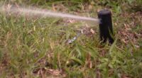 ‘Incentivize people to use less:’ Oviedo to vote on water conservation program