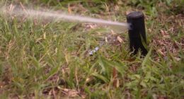 ‘Incentivize people to use less:’ Oviedo to vote on water conservation program