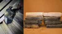 ‘Snow on the beach?’ Over 20 pounds of cocaine washes up on Florida shore