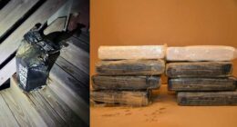 ‘Snow on the beach?’ Over 20 pounds of cocaine washes up on Florida shore