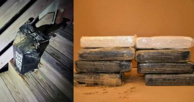 ‘Snow on the beach?’ Over 20 pounds of cocaine washes up on Florida shore