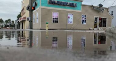 ‘Will be lapping on our door:’ Shop owners battle flooding on North Beach Street