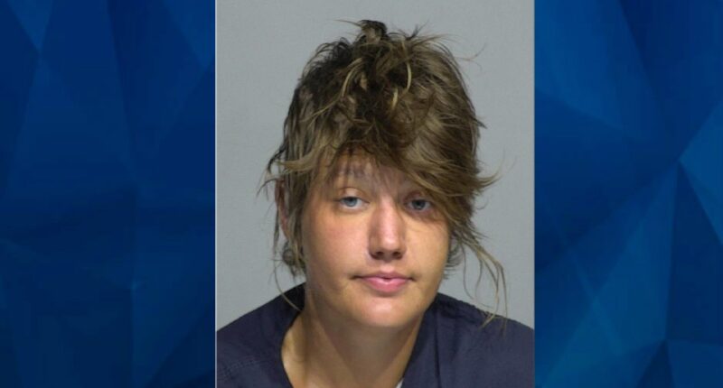 ‘I’m not suprised’: Wisconsin Daughter Accused of Fatally Bashing Mother’s Head with a Rock