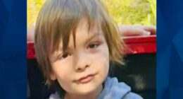 ‘WE SEARCHED INTO THE NIGHT’: DARIUS, 6, VANISHES ON FAMILY CAMPING TRIP