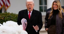 'Big, fat slob': Feathers fly as Trump pardons Thanksgiving turkeys