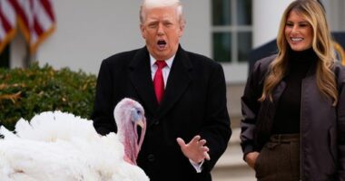 'Big, fat slob': Feathers fly as Trump pardons Thanksgiving turkeys