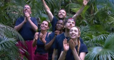 'I was on I'm A Celebrity - here are all the things viewers don't see at home'