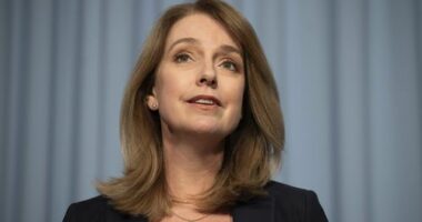 Kellie Sloane, Liberal Vaucluse MP in Sydney, speaks about threats she has received after condemning a neo-nazi protest in Sydney.