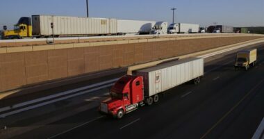 'It's a Small World After All' As ICE Crackdown of Illegal Immigrant Truckers Gets Even More Eye-Opening