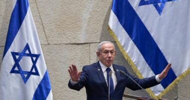 'It's impossible': Netanyahu calls for controversial corruption pardon