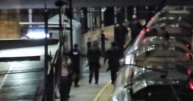 Multple stabbed on UK train