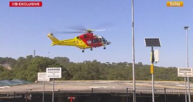 'No lifeguard' at remote beach where shark killed woman, injured man
