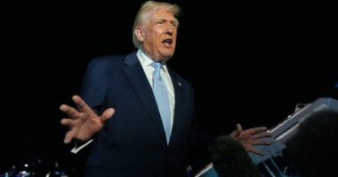 'Punishable by death': Trump's shock threat to Democrat veterans